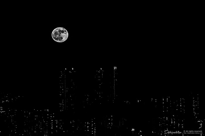 도시의 달..