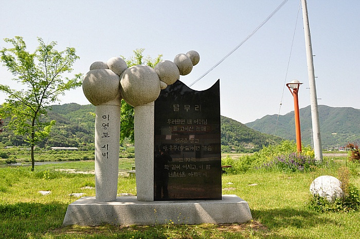 이미지