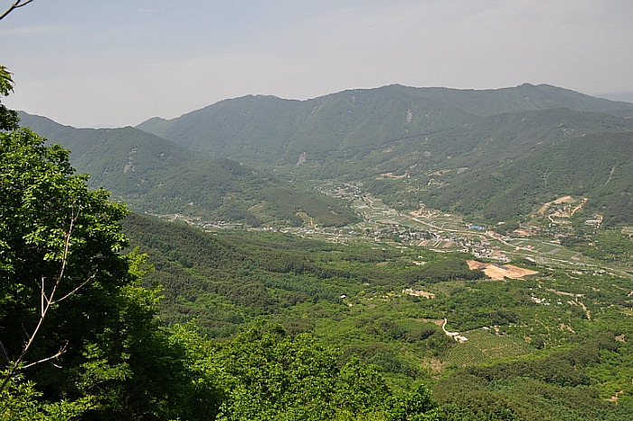 이미지