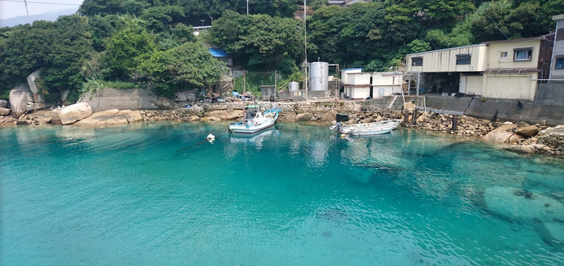 바다가 들린다의 배경, 일본 고치현의 모습