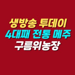 블로그 관련글