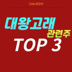 블로그 관련글