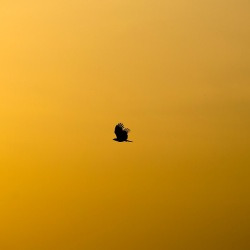 blog related posts