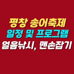 블로그 관련글