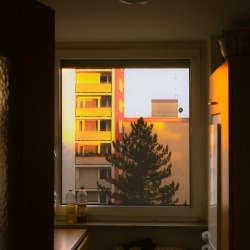 blog related posts