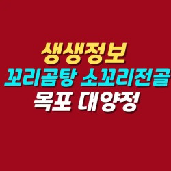 블로그 관련글