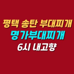 블로그 관련글