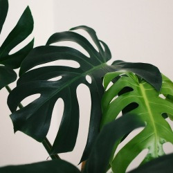 blog related posts
