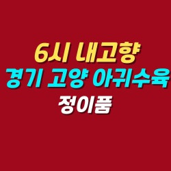 블로그 관련글