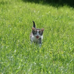 blog related posts