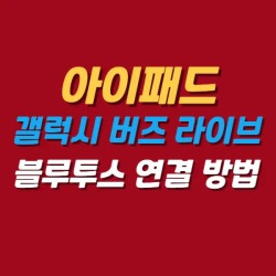 블로그 관련글