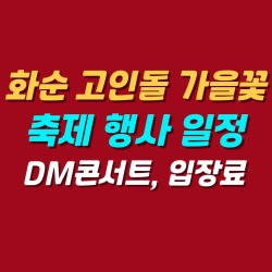블로그 관련글