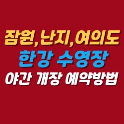 블로그 관련글