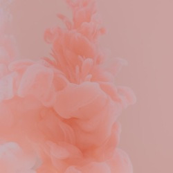 blog related posts
