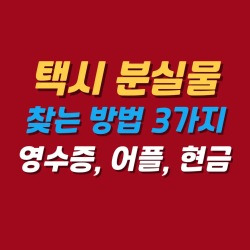 블로그 관련글