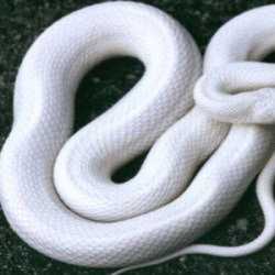blog related posts