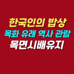 블로그 관련글