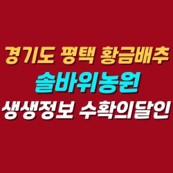 블로그 관련글