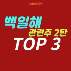 블로그 관련글