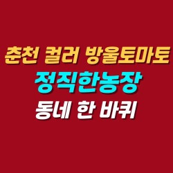 블로그 관련글