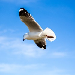 blog related posts