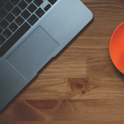 blog related posts
