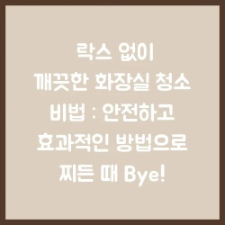 블로그 관련글