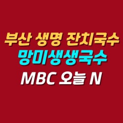 블로그 관련글