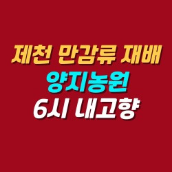 블로그 관련글