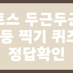 블로그 관련글