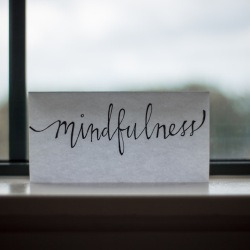 blog related posts