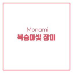 블로그 관련글