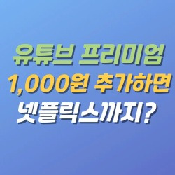 블로그 관련글