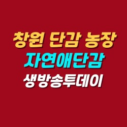 블로그 관련글