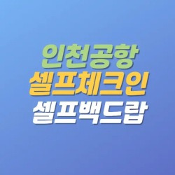 블로그 관련글