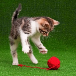 blog related posts