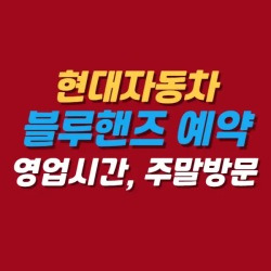 블로그 관련글