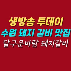 블로그 관련글