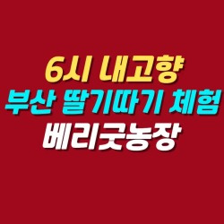 블로그 관련글