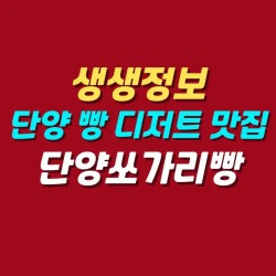 블로그 관련글