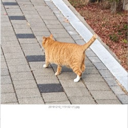 블로그 관련글
