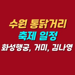 블로그 관련글