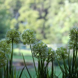 blog related posts