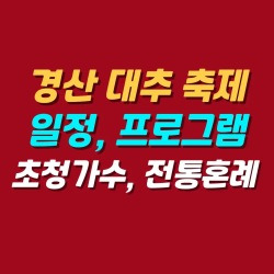 블로그 관련글