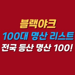 블로그 관련글