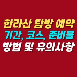 블로그 관련글