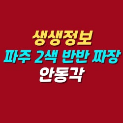 블로그 관련글