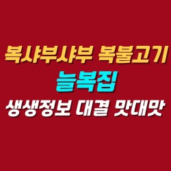 블로그 관련글