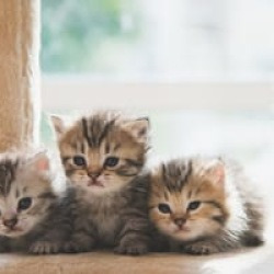 blog related posts
