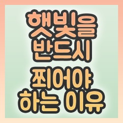 블로그 관련글